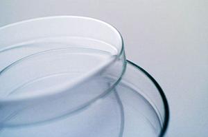 歯の健康と美しさを手に入れる！豊橋市の歯医者選びのポイント