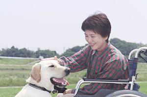 四日市のインプラント治療ガイド：信頼性・痛みの少ない施術と充実のアフターケア