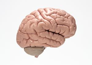 透析療法の専門クリニックです。