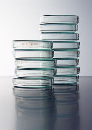 家族全員が安心して通える歯医者を徹底比較！最新技術と丁寧な説明で西区の歯医者選びをサポート