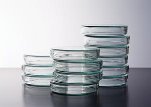 高血圧管理のプロが解説する！適切な治療と生活習慣の重要性【最新情報】