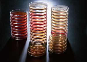 渋谷エリアで心療内科を受診する際のポイントを解説